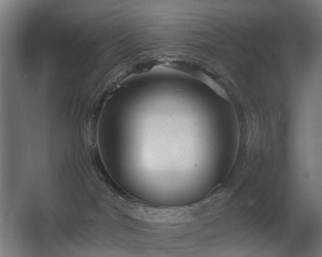 X0000067850044200604201319