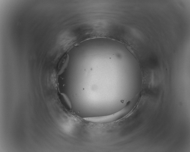 X0000067850045200604201319