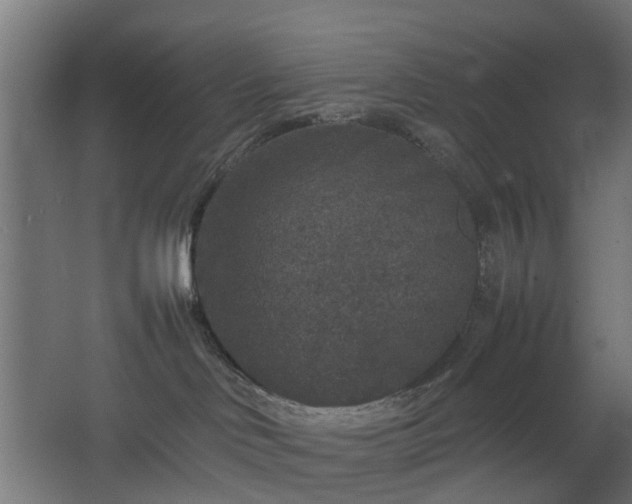 X0000067850046200604201319