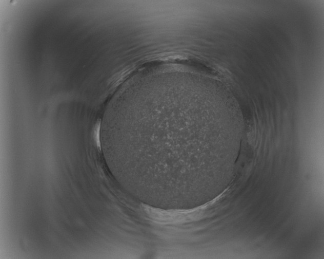 X0000067850047200604201319