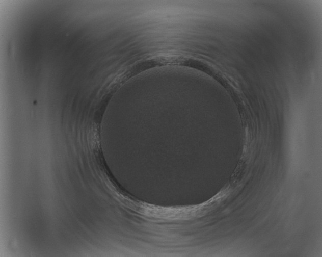 X0000067850048200604201319