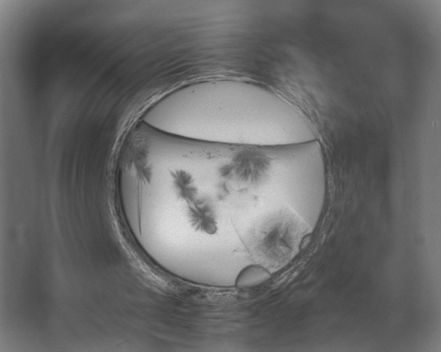 X0000067850049200604201318