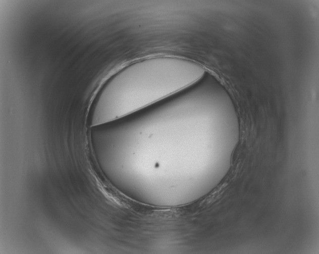 X0000067850050200604201318