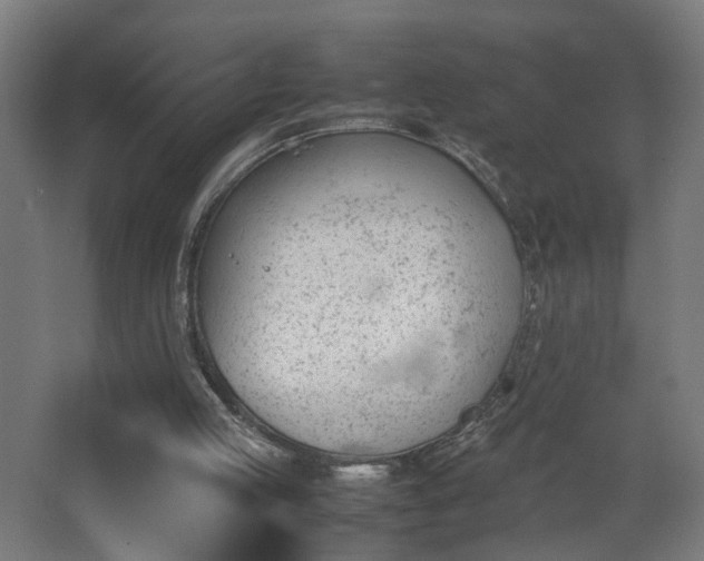 X0000067850053200604201318