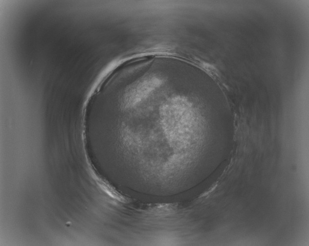 X0000067850056200604201318