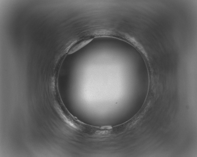 X0000067850057200604201318