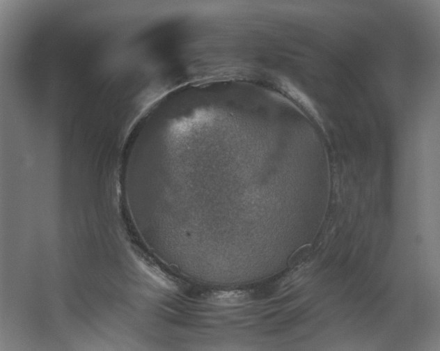 X0000067850059200604201318