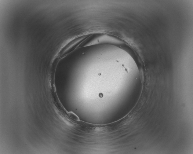 X0000067850060200604201318