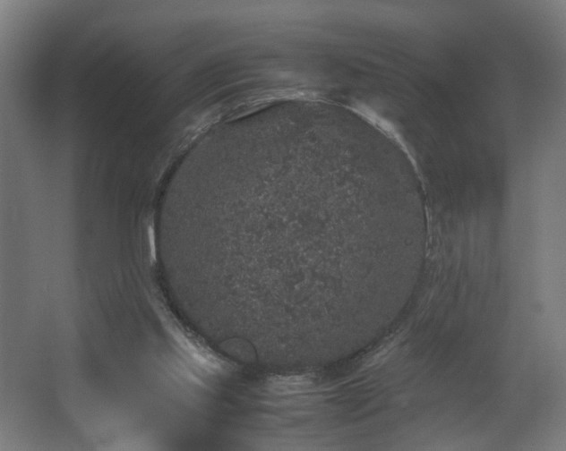 X0000067850061200604201318