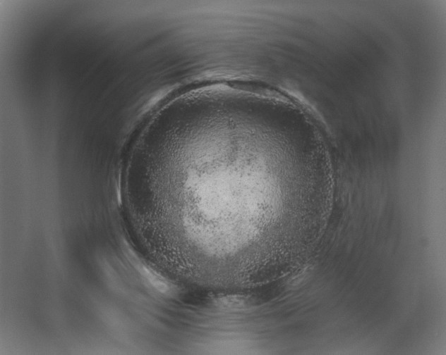 X0000067850062200604201318