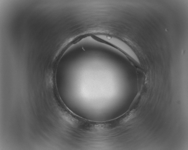 X0000067850064200604201318