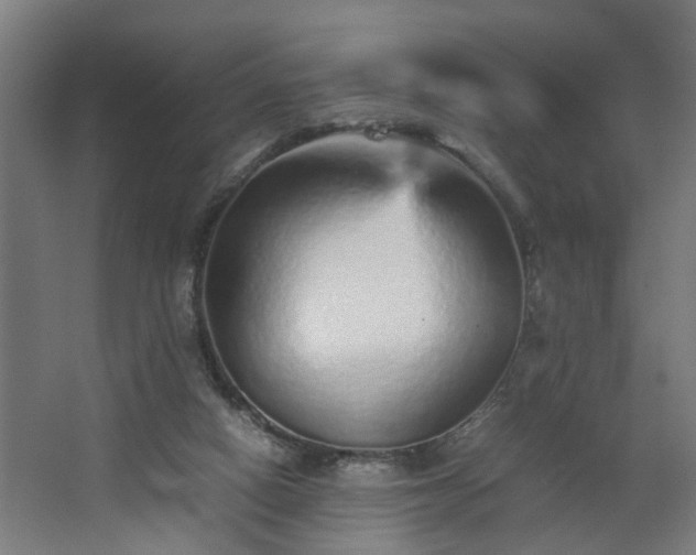 X0000067850066200604201318