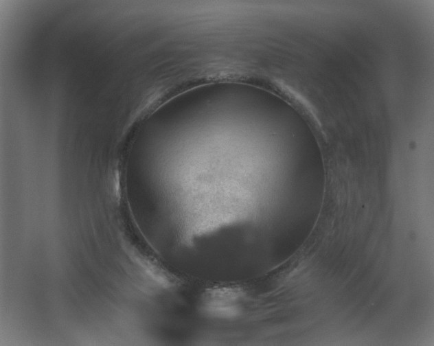 X0000067850067200604201318