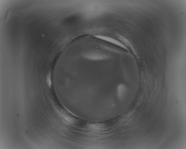 X0000067850069200604201318