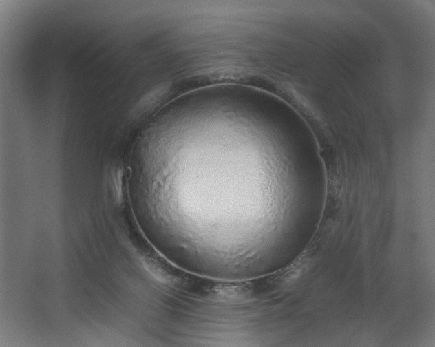 X0000067850070200604201318