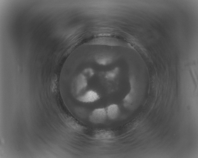 X0000067850073200604201318