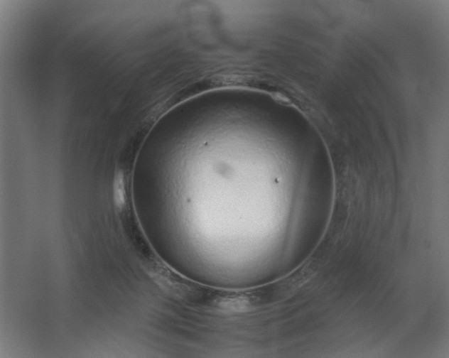 X0000067850075200604201318