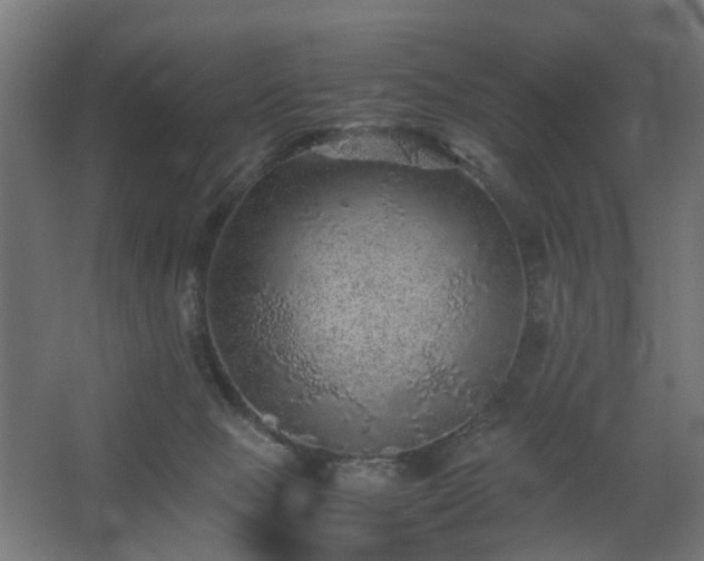 X0000067850077200604201318