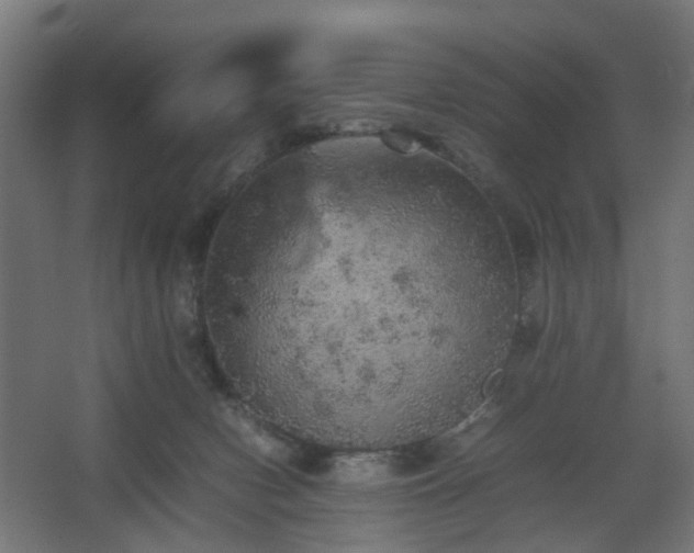 X0000067850078200604201318