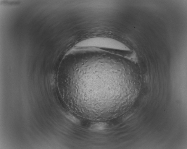 X0000067850081200604201319