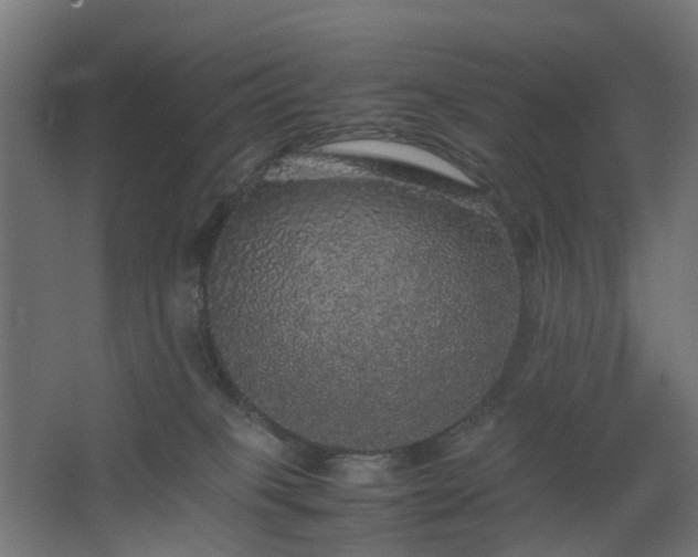 X0000067850085200604201319