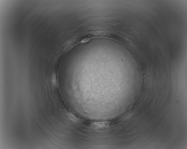 X0000067850089200604201319