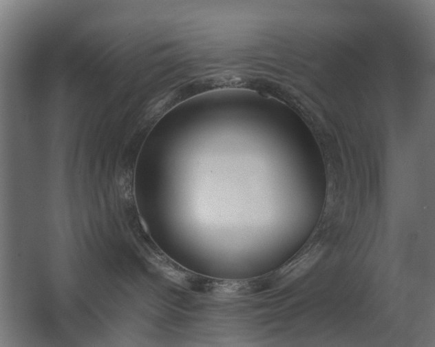 X0000067850096200604201319