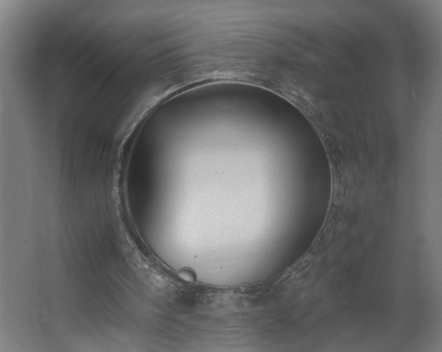 X0000067850098200604201318