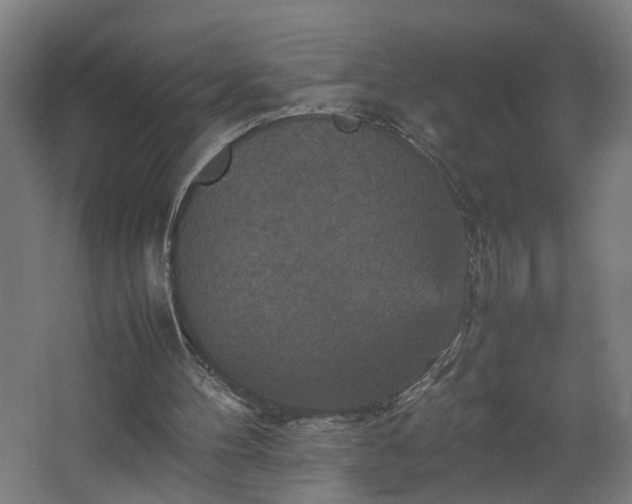 X0000067850100200604201318