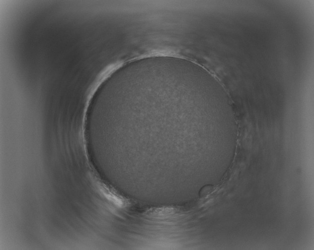 X0000067850104200604201318