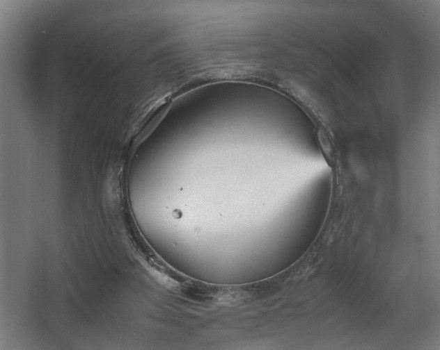 X0000067850105200604201318