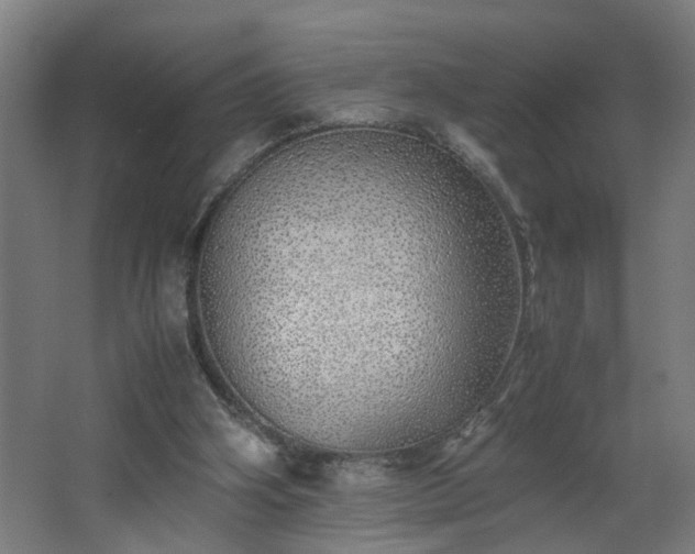 X0000067850106200604201318