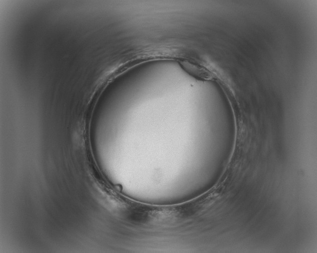 X0000067850107200604201318