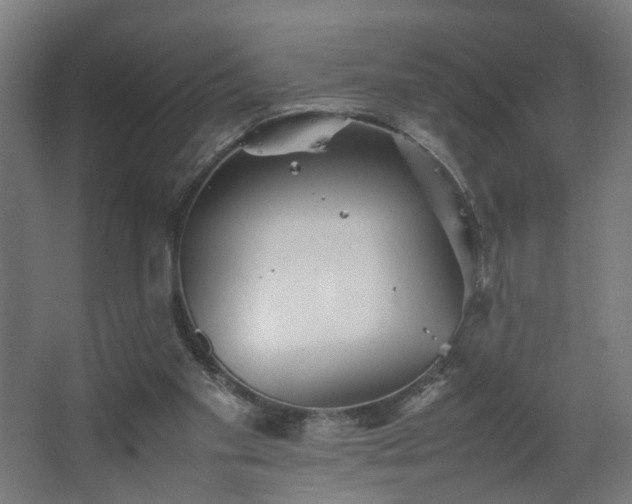 X0000067850109200604201318