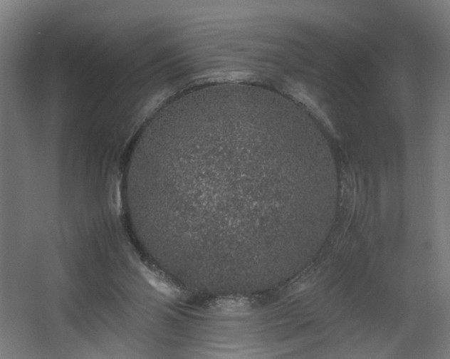 X0000067850110200604201318