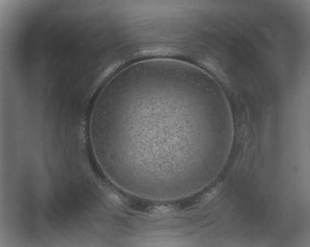 X0000067850111200604201318