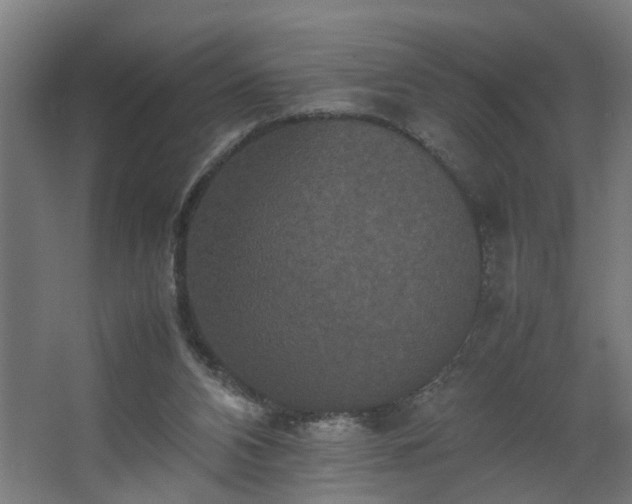 X0000067850112200604201318