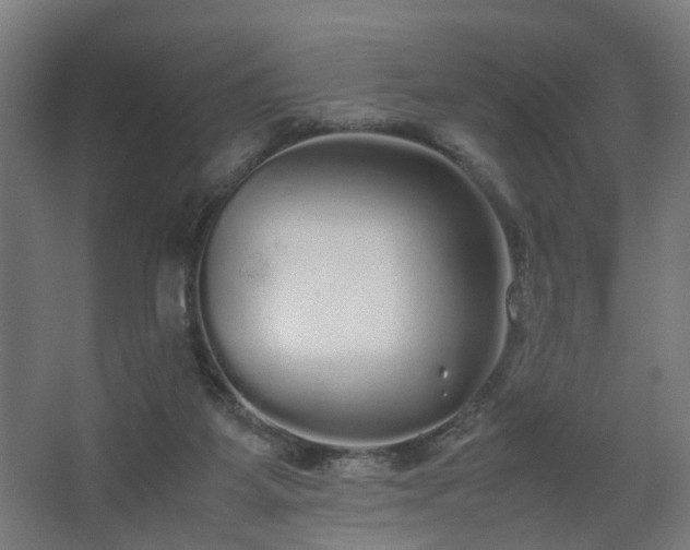 X0000067850115200604201318