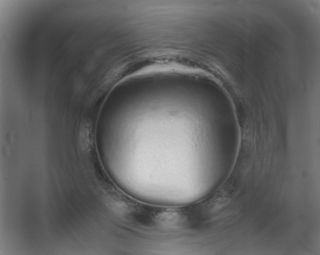 X0000067850119200604201318