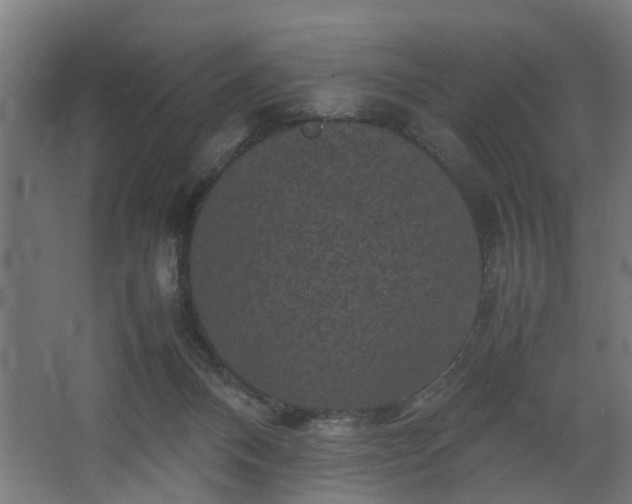 X0000067850120200604201318