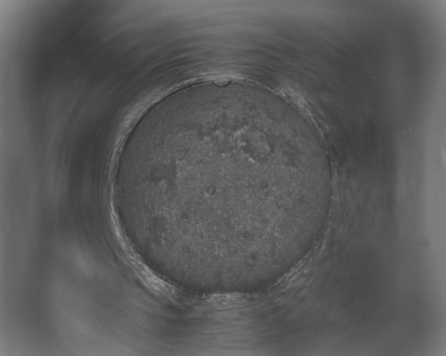 X0000067850145200604201316