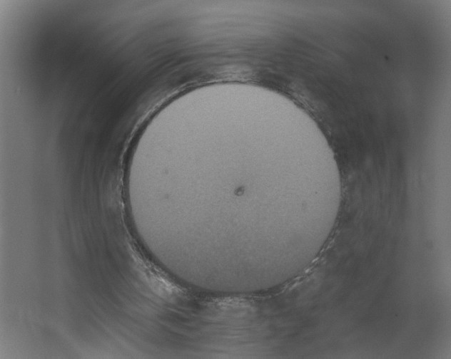 X0000067850146200604201316