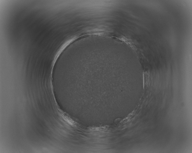 X0000067850147200604201316