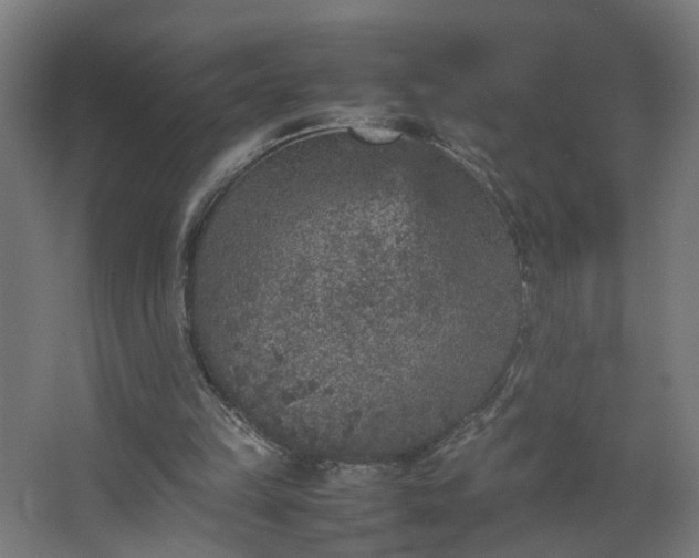 X0000067850149200604201316