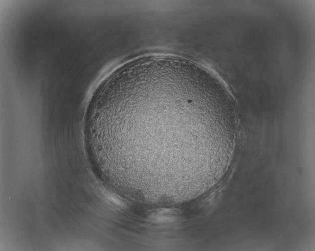 X0000067850151200604201316