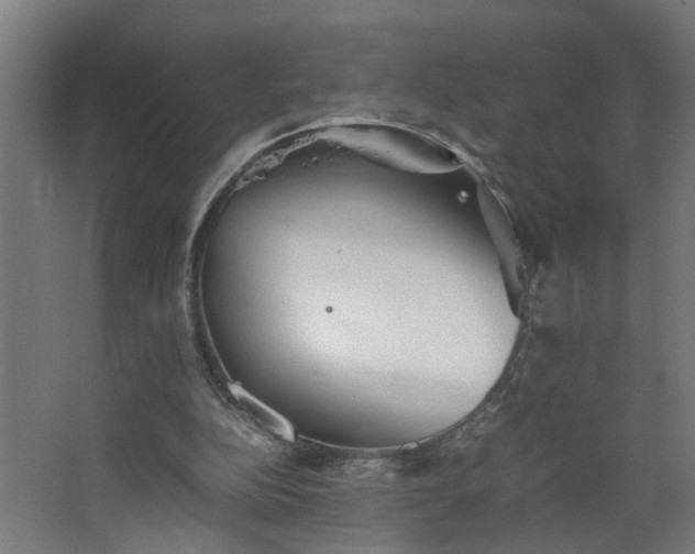 X0000067850152200604201316