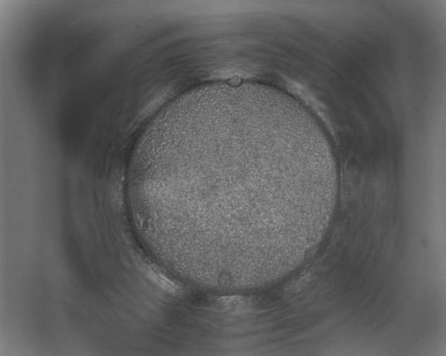 X0000067850153200604201316