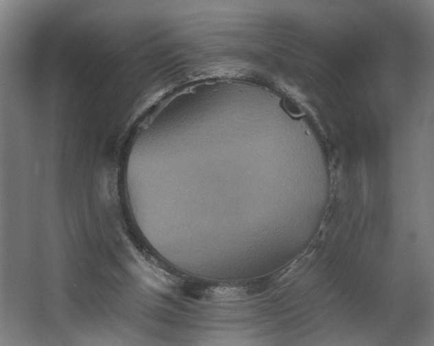 X0000067850154200604201316