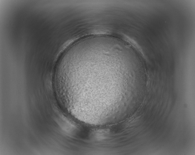 X0000067850155200604201316