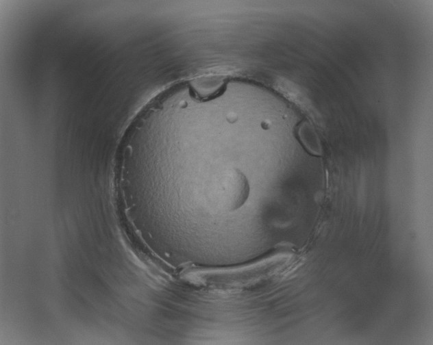 X0000067850156200604201316